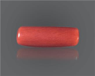 Red Coral Natural Certified  8.24 RTS ( 8107 )